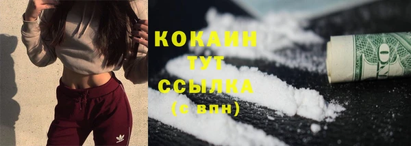 прущие грибы Аркадак