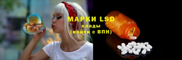 прущие грибы Аркадак