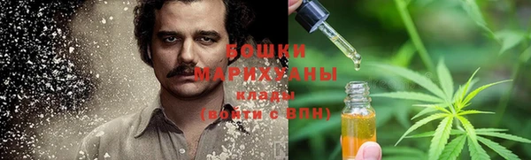 прущие грибы Аркадак