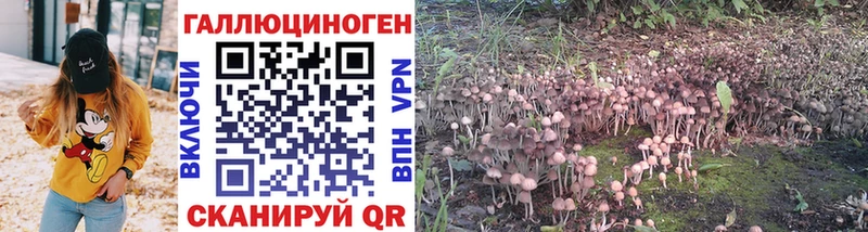 мега онион  Арск  Галлюциногенные грибы Psilocybe 